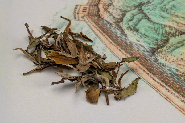 Load image into Gallery viewer, Bai Mudan (White Peony Tea) - The China Teapot