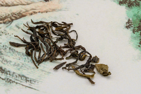 Mao Jian Hunan - The China Teapot