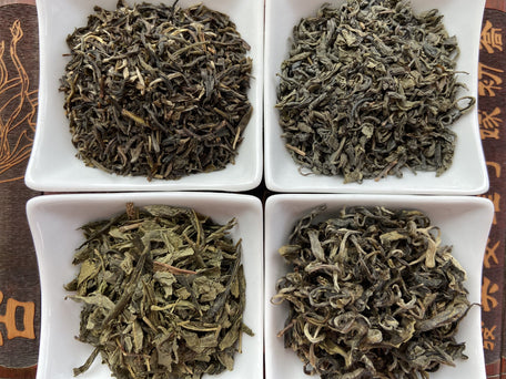 The Green Tea Bundle