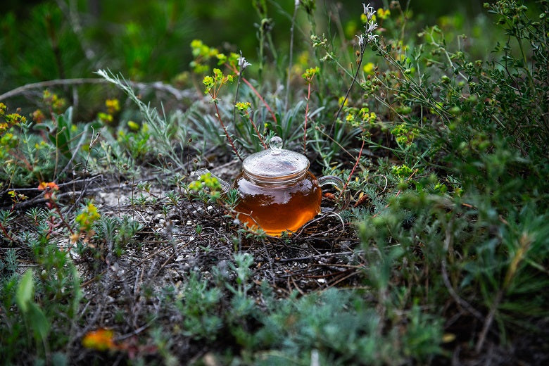 The Health Benefits of Tea
