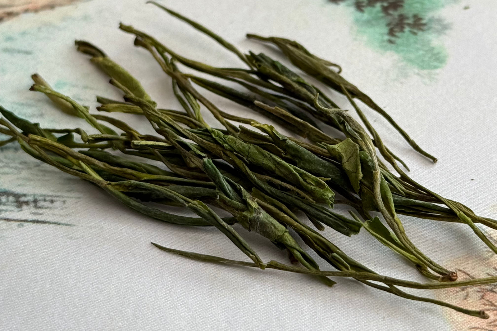 Anji Bai Cha closeup