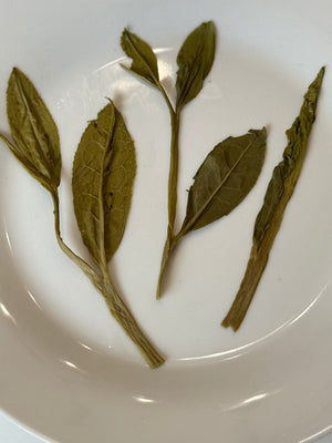 Hydrated Anji Bai Cha leaves