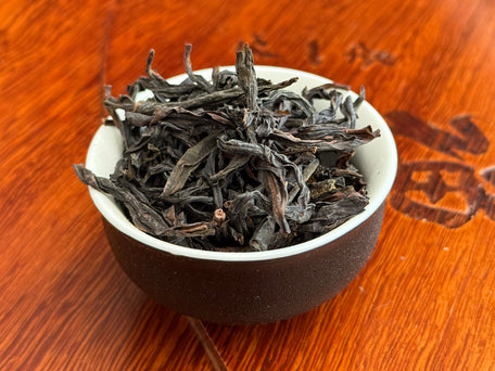 Phoenix_DanCong_Cup