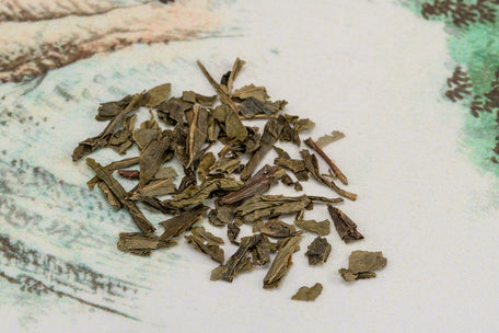 Sencha Leaf - The China Teapot