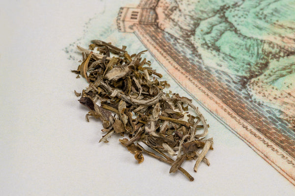 Load image into Gallery viewer, Snow Bud - The China Teapot
