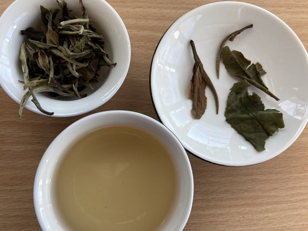Load image into Gallery viewer, Brewed Bai Mudan (Paid mudan) - Chinese White Tea
